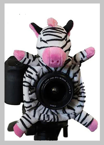 Zebra Shutter Hugger